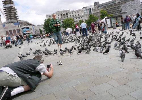 ** PLEASE DESCRIBE THIS IMAGE **