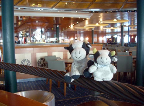 ** PLEASE DESCRIBE THIS IMAGE **