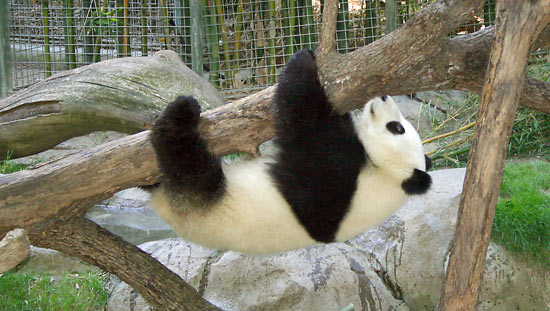 ** PLEASE DESCRIBE THIS IMAGE **