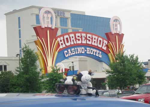 ** PLEASE DESCRIBE THIS IMAGE **