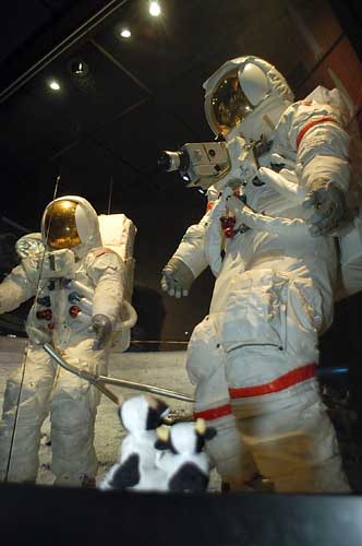 ** PLEASE DESCRIBE THIS IMAGE **