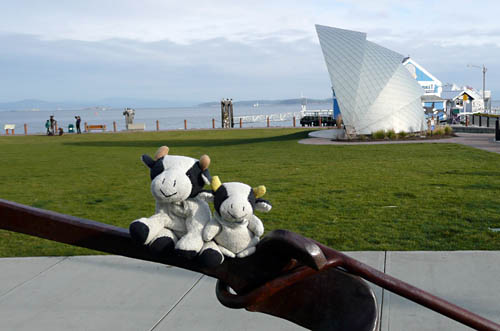 ** PLEASE DESCRIBE THIS IMAGE **