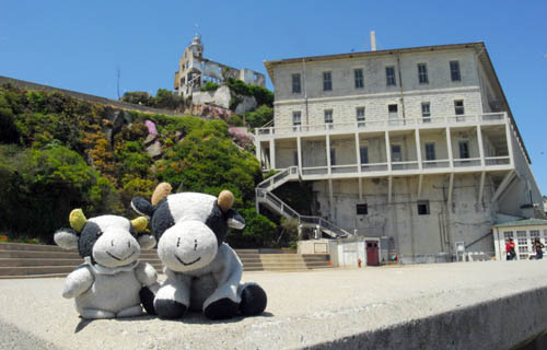 alcatraz buildings
