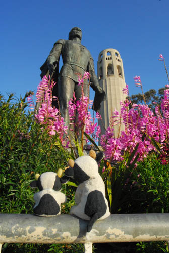 coit tower statue